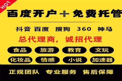 电商平台信息流广告的创意与执行案例分析